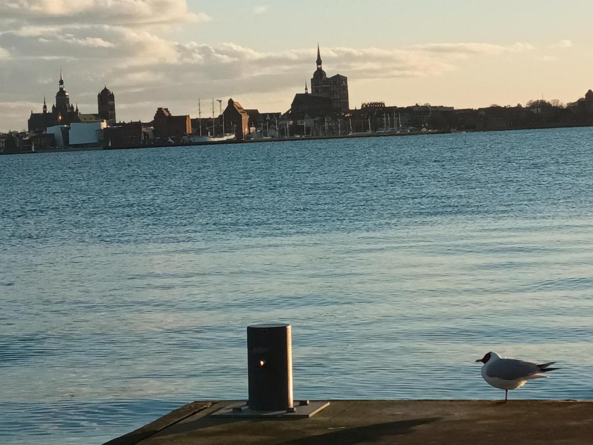 Ferienwohnung Meerblick Og Altefähr Eksteriør billede